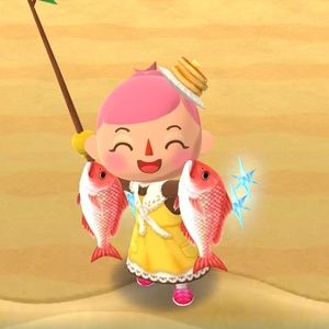 Meet your Posher, Brenna